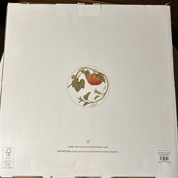 Pottery Barn Rustic Pumpkin Dinner Plates BNIB - Picture 7 of 7